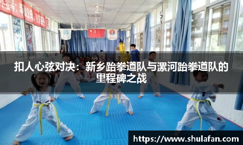 扣人心弦对决：新乡跆拳道队与漯河跆拳道队的里程碑之战