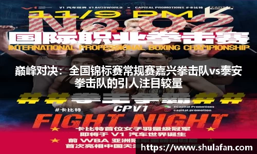 巅峰对决：全国锦标赛常规赛嘉兴拳击队vs泰安拳击队的引人注目较量