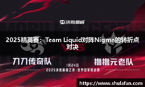 2025精英赛：Team Liquid对阵Nigma的转折点对决