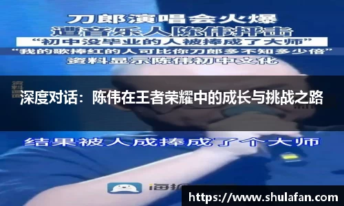深度对话：陈伟在王者荣耀中的成长与挑战之路