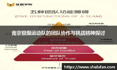 南京极限运动队的团队协作与挑战精神探讨